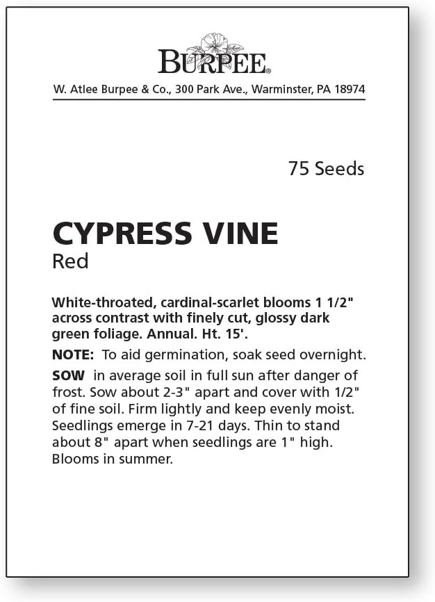 Burpee Red Cypress Vine Seeds 75 seeds