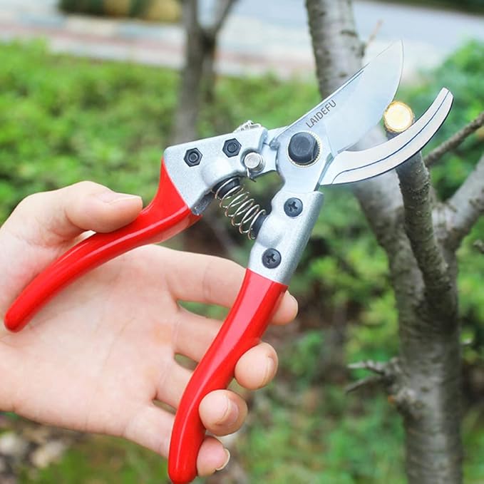 Garden Shears, Pruning Shears for Gardening Heavy Duty with Rust Proof Stainless Steel Blades, Garden Clippers Best Hand Pruners Ergonomic Gardening Tools (MJ-1)