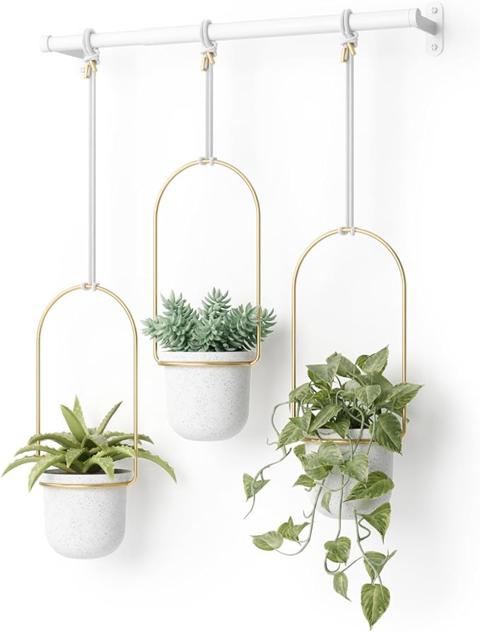Umbra Triflora Hanging Planter for Window, Indoor Herb Garden, Set of 3, White/Brass