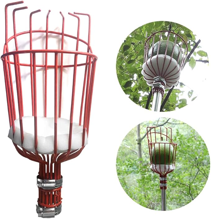 Fruit Picker Tool, a 8 FT Long Fruit Picker Equipped with Optional Splicing of Lightweight Stainless Steel to Pick Apples, Oranges and Fruit Trees