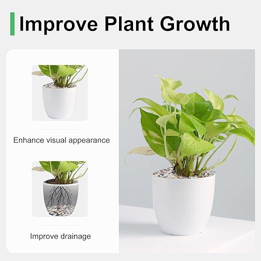 2.5 lbs Pebbles for Indoor Plants, 1/5 Inch Natural Decorative Gravel for Vases, Aquariums, Terrarium, Fish Tank, Drainage Rocks for Potted Plants, Bamboo, Succulent, Crafts, Cactus