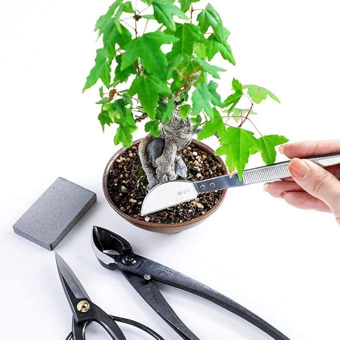 Wazakura Japanese Sap Rust Eraser for Blades, Garden Scissors, Bonsai Tools, Floral Hasami Shears, Made in Japan - Sap Eraser