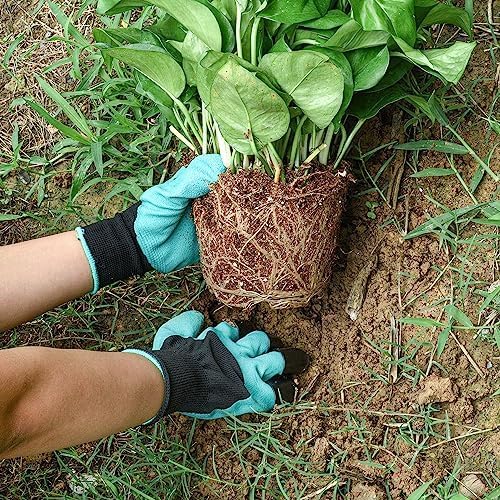 Weeding Artifact Uprooting Weeding Tool Claw Gloves Kit, 6 Teeth Dual Purpose Weed Puller, for Yard Farm Gardening Cultivating Loosening Weeding Mulching Planting Steel Hand Weeder