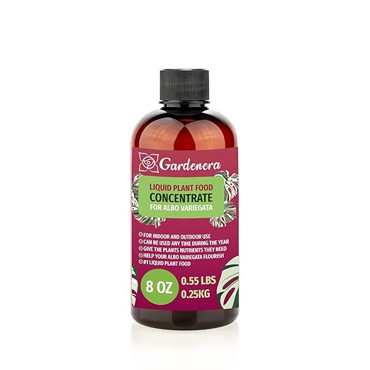 Plant Growth Superfood for ALBO VARIEGATA with 18 Vitamins & Minerals - Organic Plant Food Fertilizer - Micro-Fungi and Bio-Organisms for Albo Variegata Plant Care & Growth Enhancement - 8oz