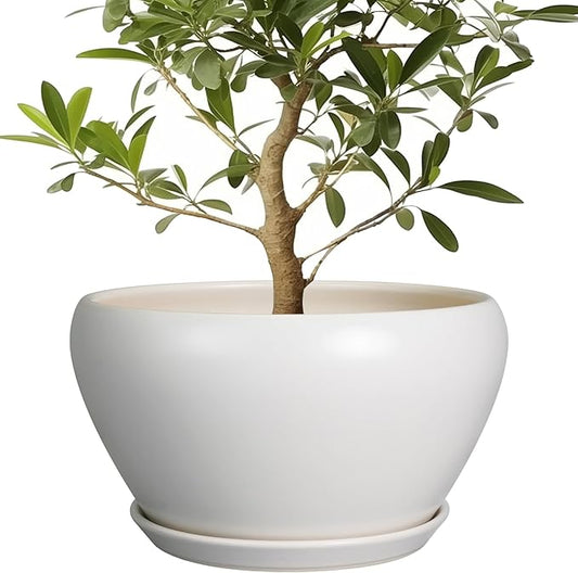 Planter for Indoor Plants 13 Inch - Ceramic Plant Pot with Drainage Hole and Saucer Decorative Round Large Planter Pot for Plants Outdoor Flower Pot for Room Decor White