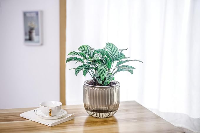 Melphoe 2 Pack Self Watering Hanging Planters Indoor Flower Pots, 6.5 Inch Outdoor Hanging Plant Pot Basket, Plant Hanger with 3Hooks Drainage Holes for Garden Home (Gray + White)