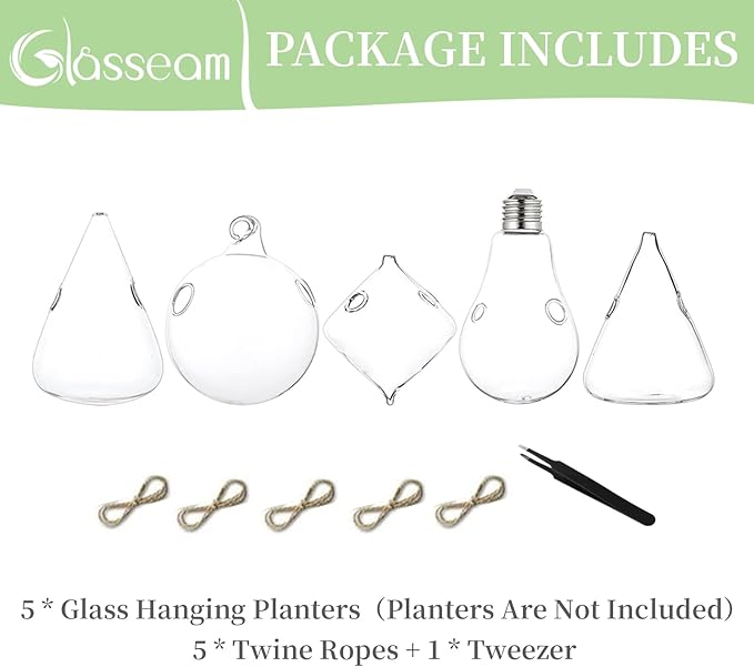 Glasseam Hanging Planters Glass Terrarium: 5Pcs Modern Plant Propagation Stations Hydroponic Wall Vases for Air Plants Flowers Indoor Window Home Decor