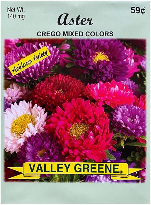 Set of Flower Seed Packets! Flower Seeds in Bulk - Great for Creating The Garden of Your Dreams! (200, Aster - Crego)