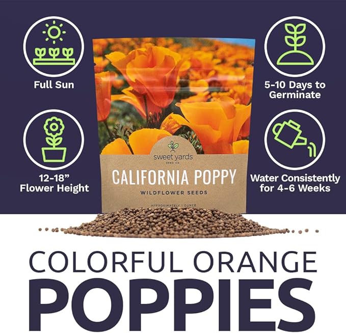 California Orange Poppy Wildflower Seeds - Bulk 1 Ounce Packet - Over 20,000 Native Seeds - California State Flower!