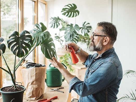 Premium Liquid Kelp Fertilizer for Monstera Plants - 32 oz- Nourish Your Monstera with Organic Seaweed Power