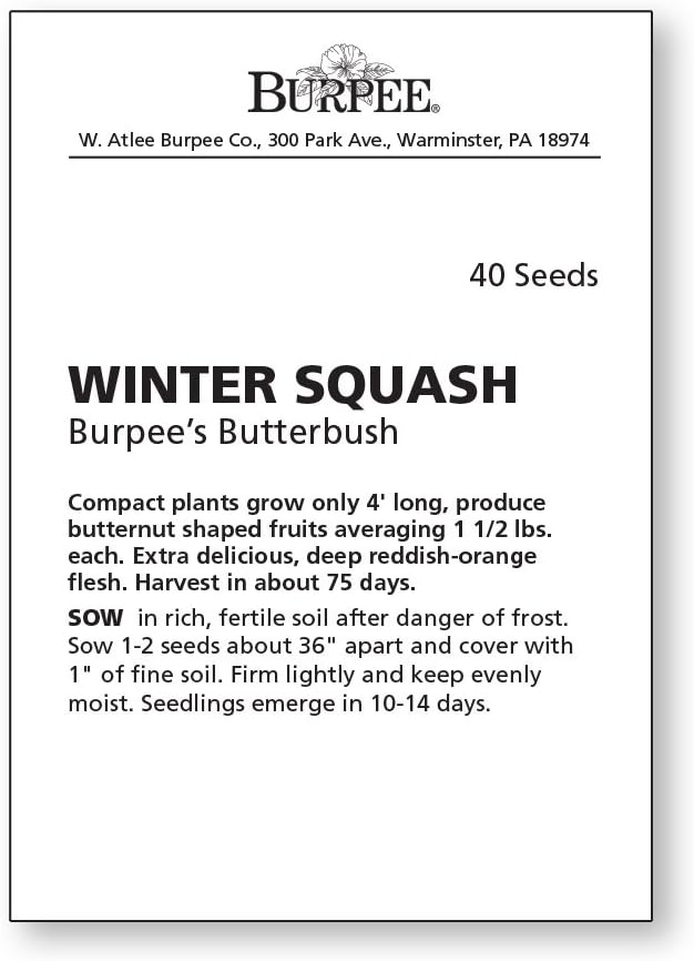 Burpee Butterbush Winter Squash Seeds 40 seeds