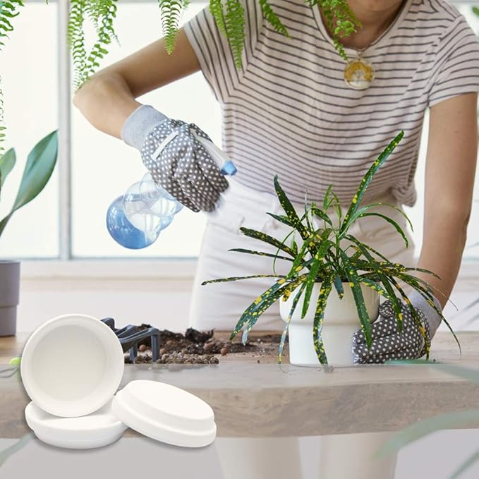 24pcs Terra Cotta Saucer, 3.2-inch Small Mini Clay Pots Tray, Suitable for 3inch, 2.5inch, 2inch Succulents Nursery Pots(White)