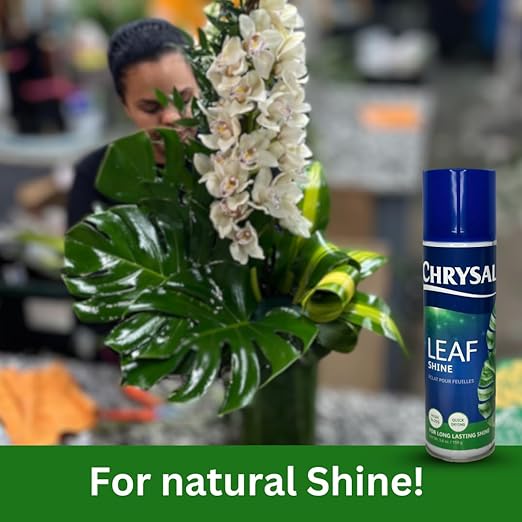 Chrysal Leaf Shine Spray for Indoor Plants – Flower Arrangement Spray for Flower Bouquets, House Plants, & More – Environmentally Safe Plant Cleaner Removes Dust – Flower & Gardening Supplies (2 Pack)