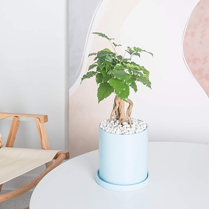 Planters for Indoor Plants Ceramic Flower Succulent Plant Pots with Drain Hole Saucer Decor for Home Office (6 inch Blue)