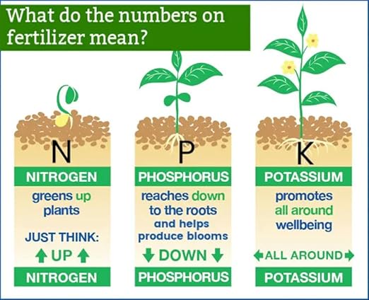 6-6-6 All Purpose Professional Garden Fertilizer - Optimize Nutrition for Thriving Plants in Every Corner of Your Garden - 5 QUARTS