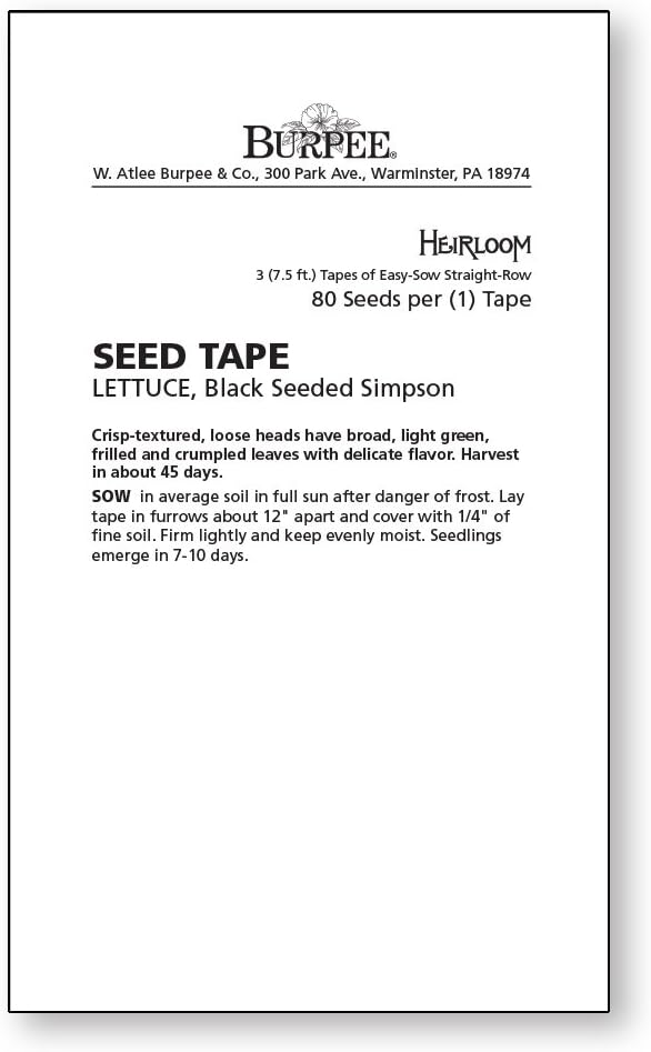 Burpee Black Seeded Simpson Lettuce Seed Tape 80 per tape