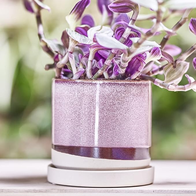 CHIVE ‘Minute’ Ceramic Planter Pot — Cute 5” Colorful Succulent Pots for Indoor & Outdoor House Plants — Beautiful Modern Farmhouse Kitchen Decor — Burgundy