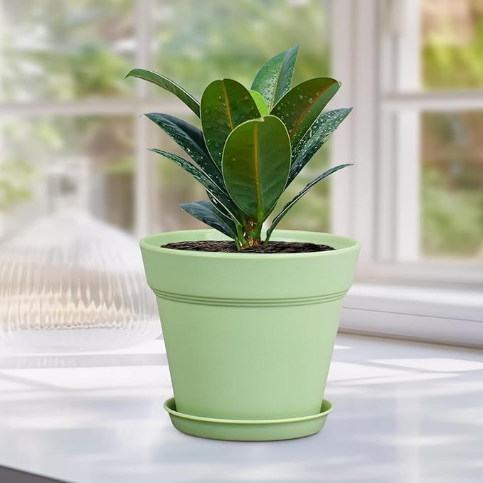 6 inch Plastic Nursery Pots, Seedling Pots, 16 Pack Plant Pots for Small Indoor Outdoor Plants, Flower Pots with Drainage Holes and Saucers, Decorative Planters for House Plants, Green