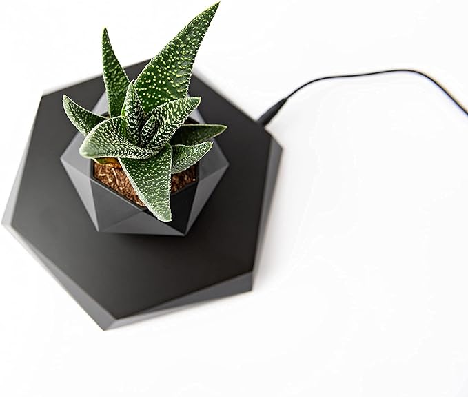 BandD Levitating Plant Pot - Floating Plant Pot for Small Plants. Levitating Decor for Home & Office Magnetic Floating Levitating Display (Black)