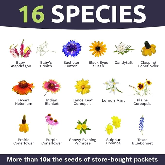 Texas Oklahoma Wildflower Seeds Mixture - Bulk 1 Ounce Packet - Over 15,000 Native Seeds - Open Pollinated and Non GMO