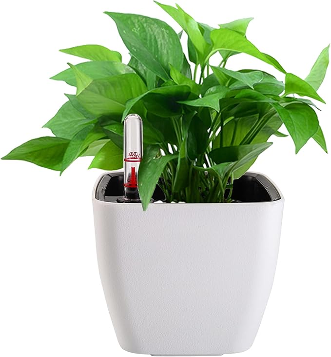 yarlung 6 Pack Self Watering Planter with Water Level Indicator, 5 Inch Plastic Plant Flower Pots Nested Container for Indoor Plants, Herbs, Aloe, Outdoor Gardening