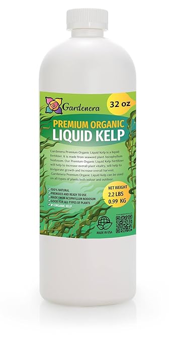 Organic Liquid Kelp Fertilizer - 32 oz -Enhance Your Garden's Yield with Seaweed Fertilizer for Plants - Concentrated Kelp & Seaweed Extract