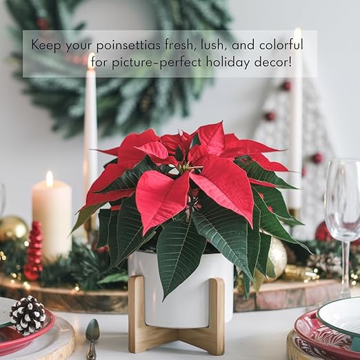 Poinsettia Plant Fertilizer - 3-1-2 NPK - Organic Liquid Plant Food for Christmas Flowers and Trees - 32oz Concentrate