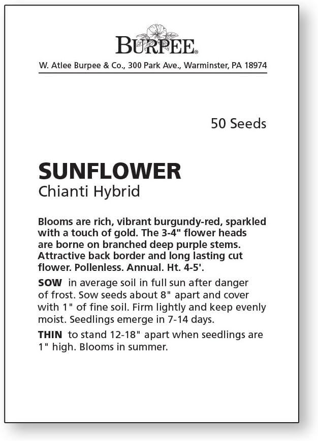 Burpee Chianti Sunflower Seeds 50 seeds