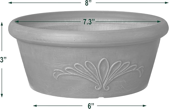 Arcadia Garden Products PSW Pot TA20TP Collection Shallow Bulb Pan Planter Dish Low Bowl for Succulents, Bonsai, Fairy Gardens, Herbs, 8-inch, Taupe