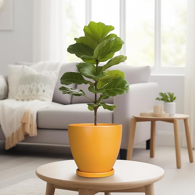 Ceramic Plant Pot - 8 Inch Planter for Indoor Outdoor Plants, Round Flower Pots with Drainage and Tray, Home Office Decor, Orange