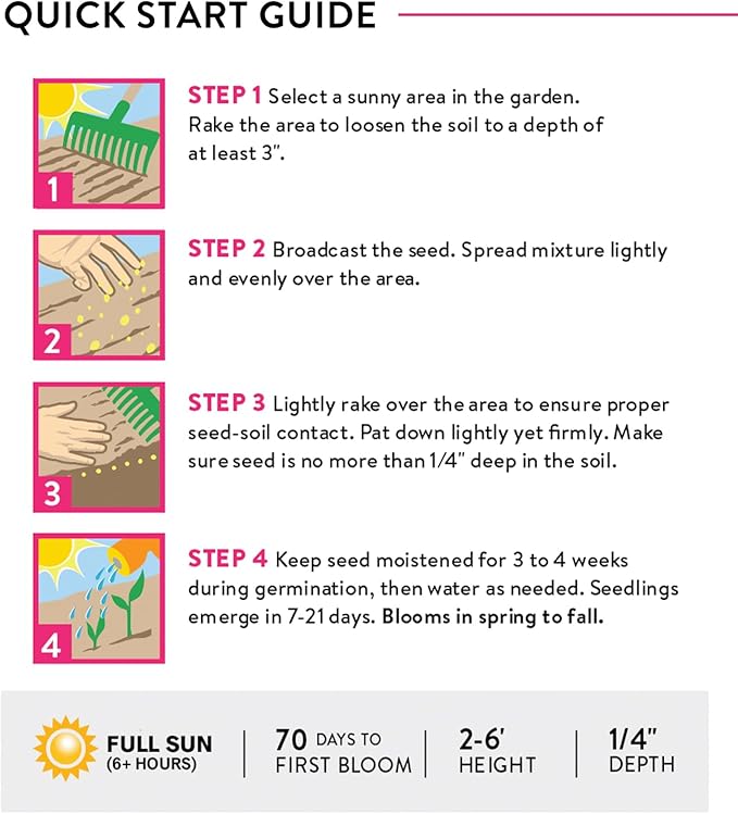 Burpee Wildflower Mix Monarch Sanctuary Seeds | 25,000 Non-GMO Seeds, 3 Types of Butterfly Weed Plus Cornflower, Lupine, Echinacea, and More | Pollinator Garden Attracts Monarch Butterflies