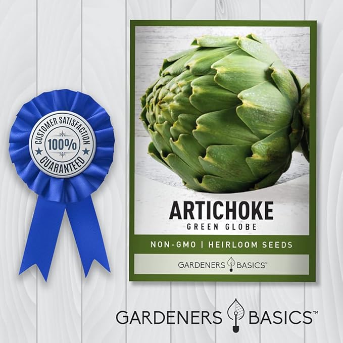 Gardeners Basics, Artichoke Seeds for Planting - Green Globe Non-GMO Perennial Vegetable Variety- 3 Grams Seeds Great for Summer Gardens