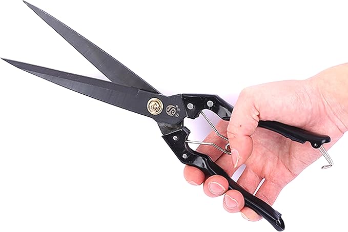 Grass Shear Sheep Shear Alpaca Shear - Coated Wear-Resistant Handle, Manganese Steel Double Blade, Strong Spring Suitable For Cattle And Sheep and Horse Hair Hand-Cut (Black 12.6 inches)