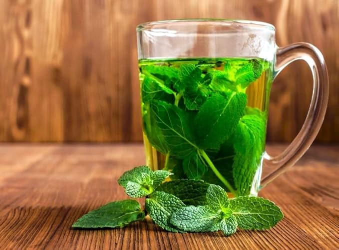 Peppermint Seeds 1000+ Seeds for Planting