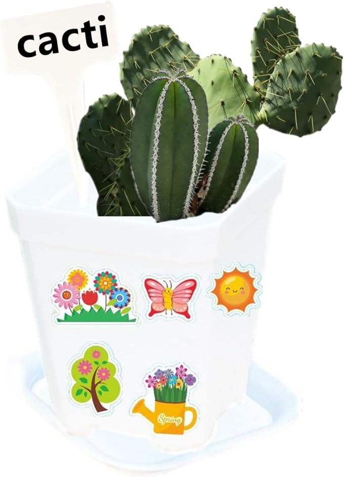 24 Pack Garden Plastic Pot Craft Kit 24 Nursery Pots with 24 Trays 16 Sheet Stickers 24 Labels 3 Tools for Kids Flower Plant Spring Summer Graduation DIY Crafts Painting Gardening Growing Tools White