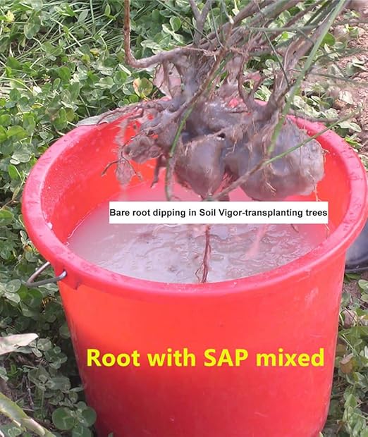 Commercial Grade Super Absorbent Polymer Potassium Based Water Crystal (5 Pound)