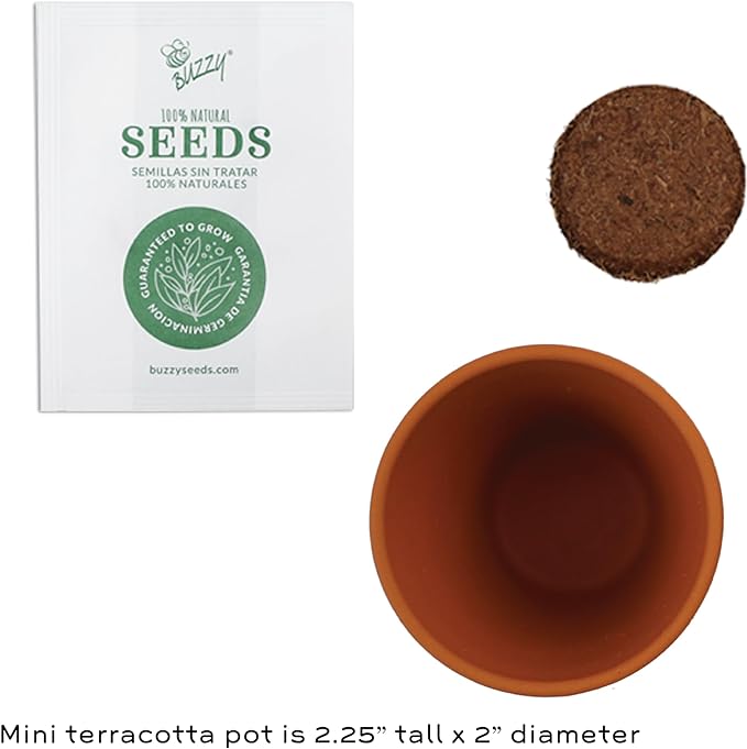 Buzzy Seeds Terracotta Mini Grow Pots | Herb, Plant, Flower Starter Kit for Kids & Adults | 12-Pack, Daydream Forget-Me-Not Flower | Guaranteed to Grow | Best Indoor Grow Your Own Plant