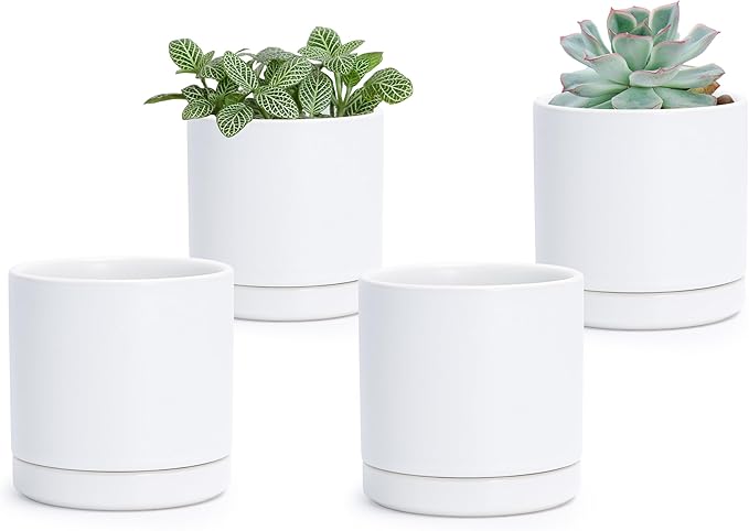 D'vine Dev Set of 4 Small Ceramic Plant Pots, 3.5 Inch Succulent Planter Pot for Plants with Drainage Hole and Saucer, White, 94-X-A-1