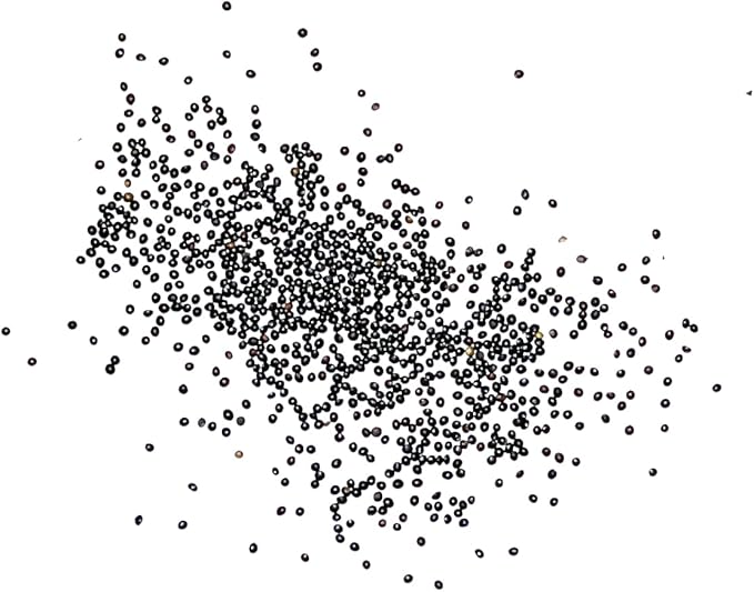 Seed Needs Coleus Seeds for Planting Rainbow Mixture - Heirloom & Open Pollinated Plants Prefer Partial Shade Indoors/Outdoors (5 Packs)