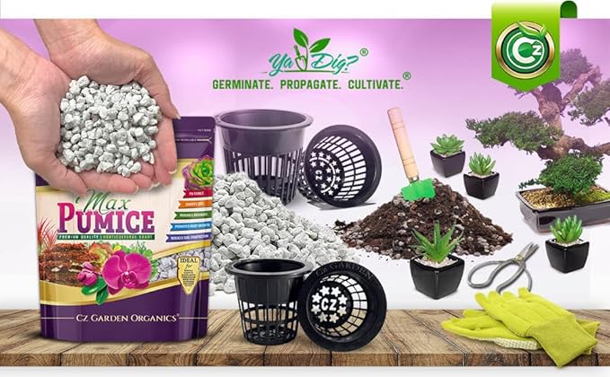 Pumice Stone Grow Media - Made in USA for Bonsai • Succulents • Cactus • Orchids - Horticultural Soil Amendment Additive Conditioner for Indoor and Outdoor Plants and Flower Gardens. OMRI Listed