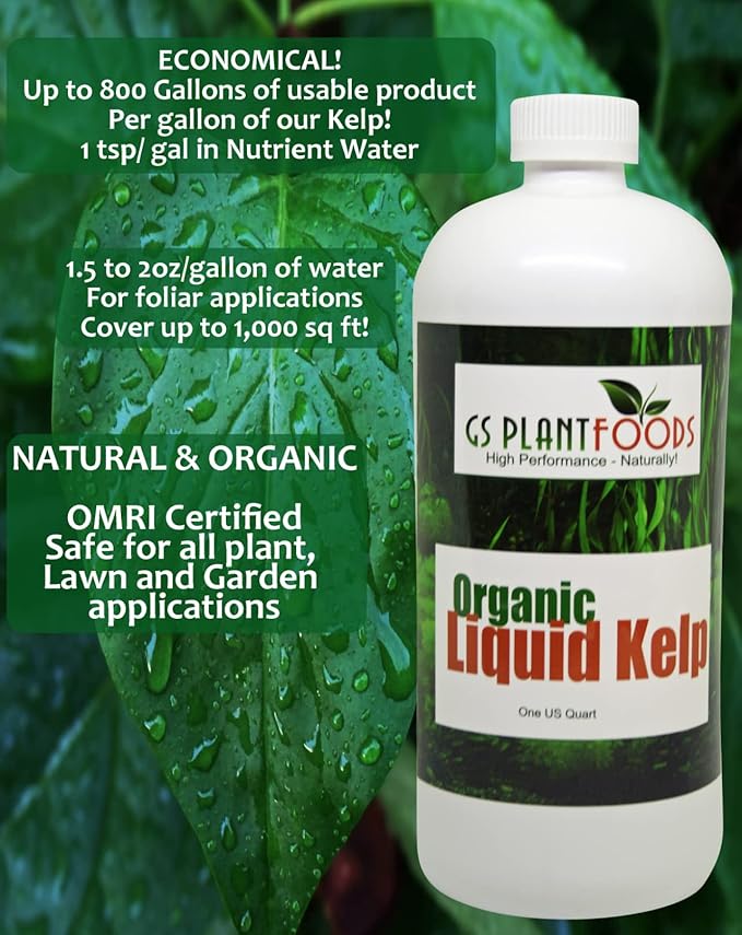 GS Plant Foods Seaweed Fertilizer - Omri Organic Liquid Kelp Seaweed Fertilizer (275 Gallon) - Liquid Kelp & Seaweed Concentrate for Farms, Gardens, Greenhouses, Lawns & Soil