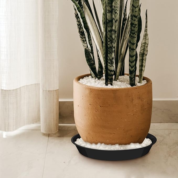 6 Pack Plant Saucer 12 14 16 18 20 22 Inch Plastic Plant Tray, Sturdy and Durable Flower Pot Container Accessories Plant Pot Saucers for Indoor and Outdoor (20 Inch, Black)