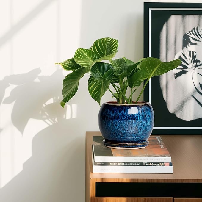 SQOWL 6 Inch Plant Pot - Ceramic Planter Pot with Drainage Hole and Saucer, Succulent Pot Round Flower Pot for Indoor Plants Outdoor, Blue