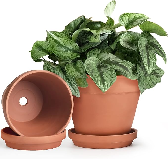 INGOFIN Terracotta Pots Set with Saucer - 2-Pack Ceramic Clay Planters with Drainage Hole, Garden Flower Succulent Pots with Tray for Indoor Outdoor Plants, 8 inch, Set of 2