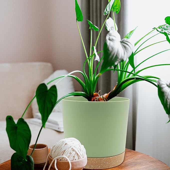 QCQHDU 8 inch Plant Pot, 2 Pack Planters for Indoor Plants with Drainage Holes & Saucer, Outdoor Flower Pots Home Garden Modern Decor