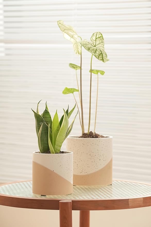 Ceramic Pots for Indoor Plants, 2 Set Flower Pots 5.4/4.3 Inch with Drainage, Double Color Glazed Speckled White & Terracotta Bottom Ceramic Planter Idea for Plant Lovers