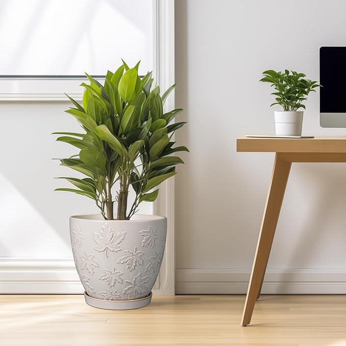 Pots for Plants 10 Inch - Ceramic Planter Large Plant Pot for Indoor Plants Outdoor Round Flower Pot with Drainage Hole and Saucer Home Garden Decor White