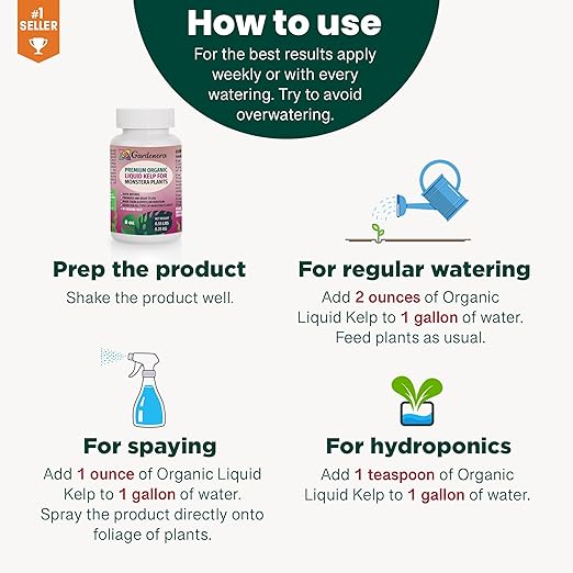 Premium Liquid Kelp Fertilizer for Monstera Plants - 32 oz- Nourish Your Monstera with Organic Seaweed Power