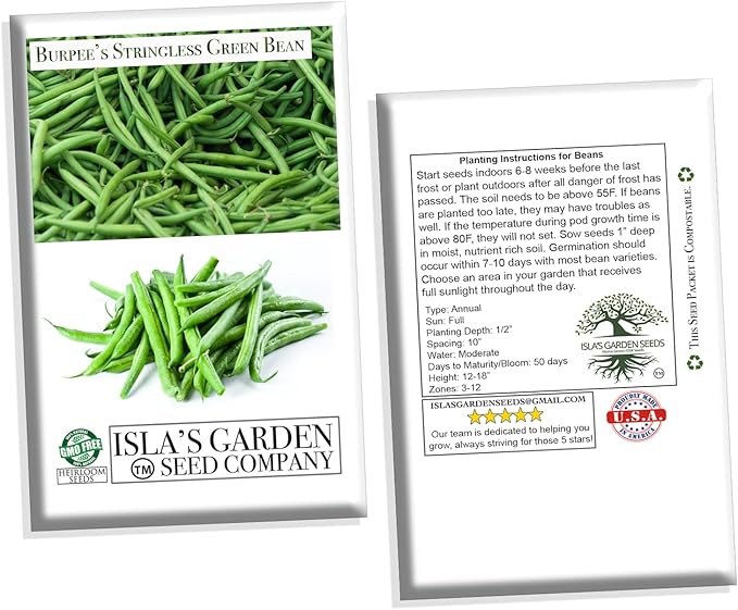 Burpee Stringless Green Bean Seeds for Planting, 50+ Heirloom Seeds Per Packet, (Isla's Garden Seeds), Non GMO Seeds, Botanical Name: Phaseolus vulgaris, 85% Germination Rates, Great Home Garden Gift