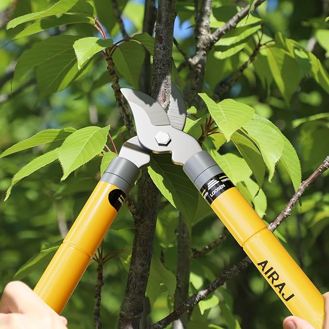 AIRAJ 16-24'' Extendable Loppers for Tree Trimming | Branch Cutter with 1.5“ Cutting Capacity | Loppers for Gardening | Tree Trimmers Long Handle Pruner | Tree Pruner | Branch Trimmer